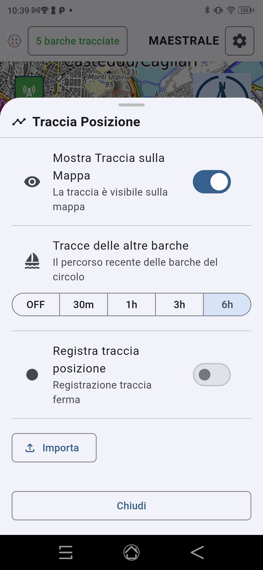 Il pannello della traccia